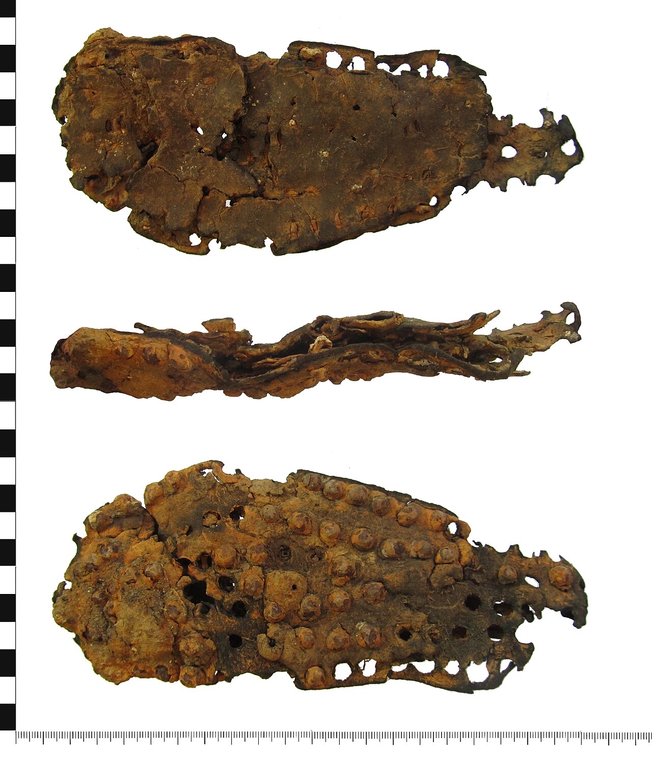 Schuhe im alten Rom: Calceus, Caliga und Soleae